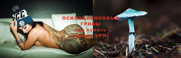 индика Гусиноозёрск