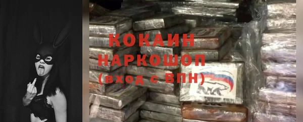 стаф Дмитров