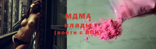 стаф Дмитров