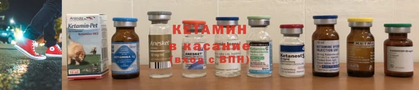 индика Гусиноозёрск