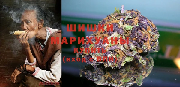 стаф Дмитров