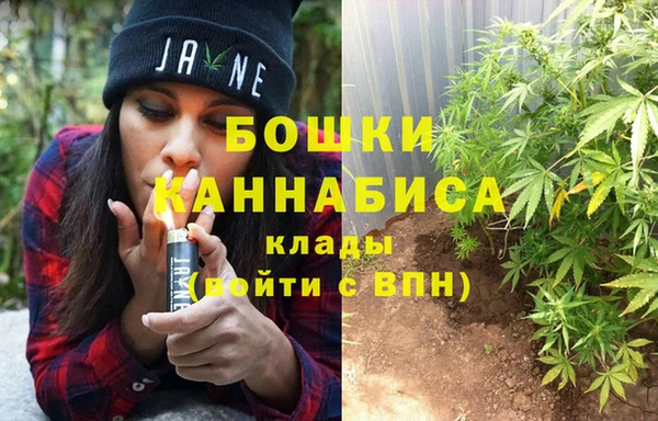 стаф Дмитров