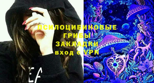индика Гусиноозёрск