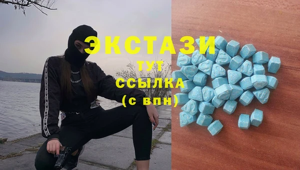 индика Гусиноозёрск