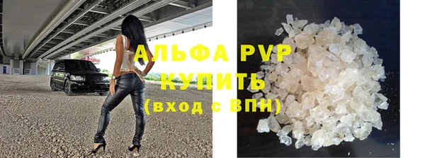 стаф Дмитров