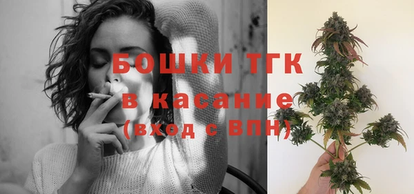 стаф Дмитров