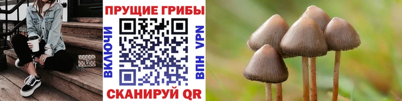 Галлюциногенные грибы MAGIC MUSHROOMS Ленск